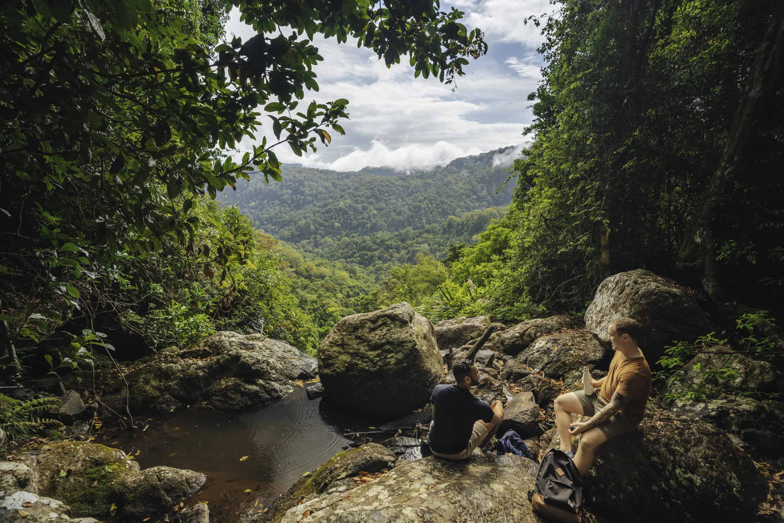 Warrie Circuit, Springbrook National Park (Image credit: Tourism & Events Queensland)