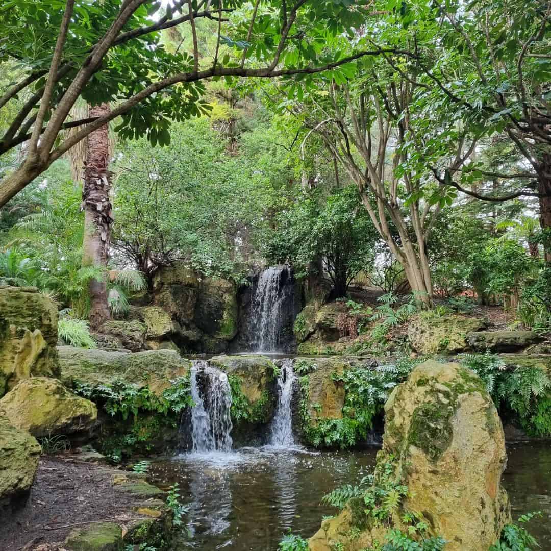 John Oldham Park (Image Credit: IG @healthy_nik)