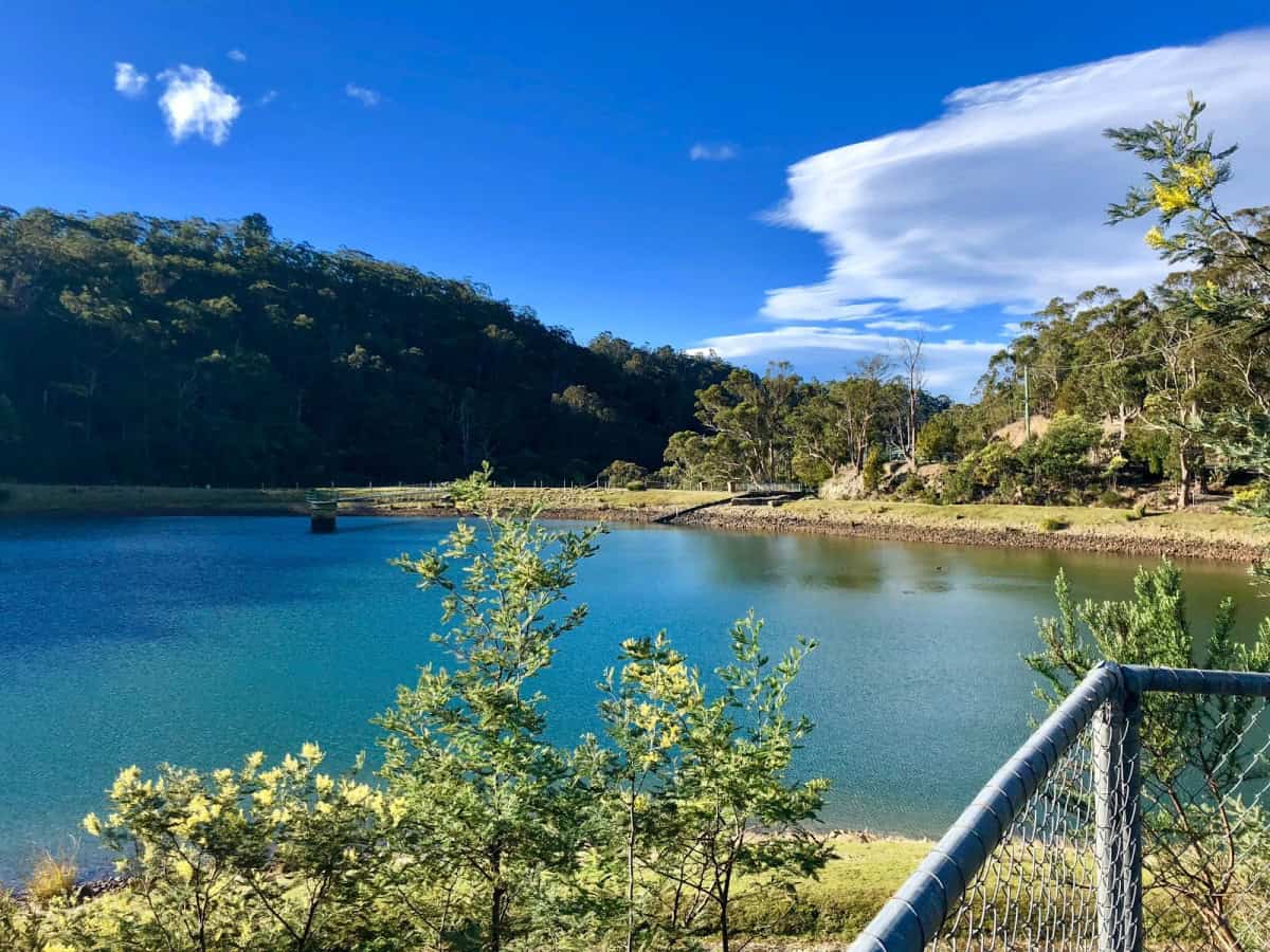 Waterworks Reserve (Image Credit: Google Catherine B)