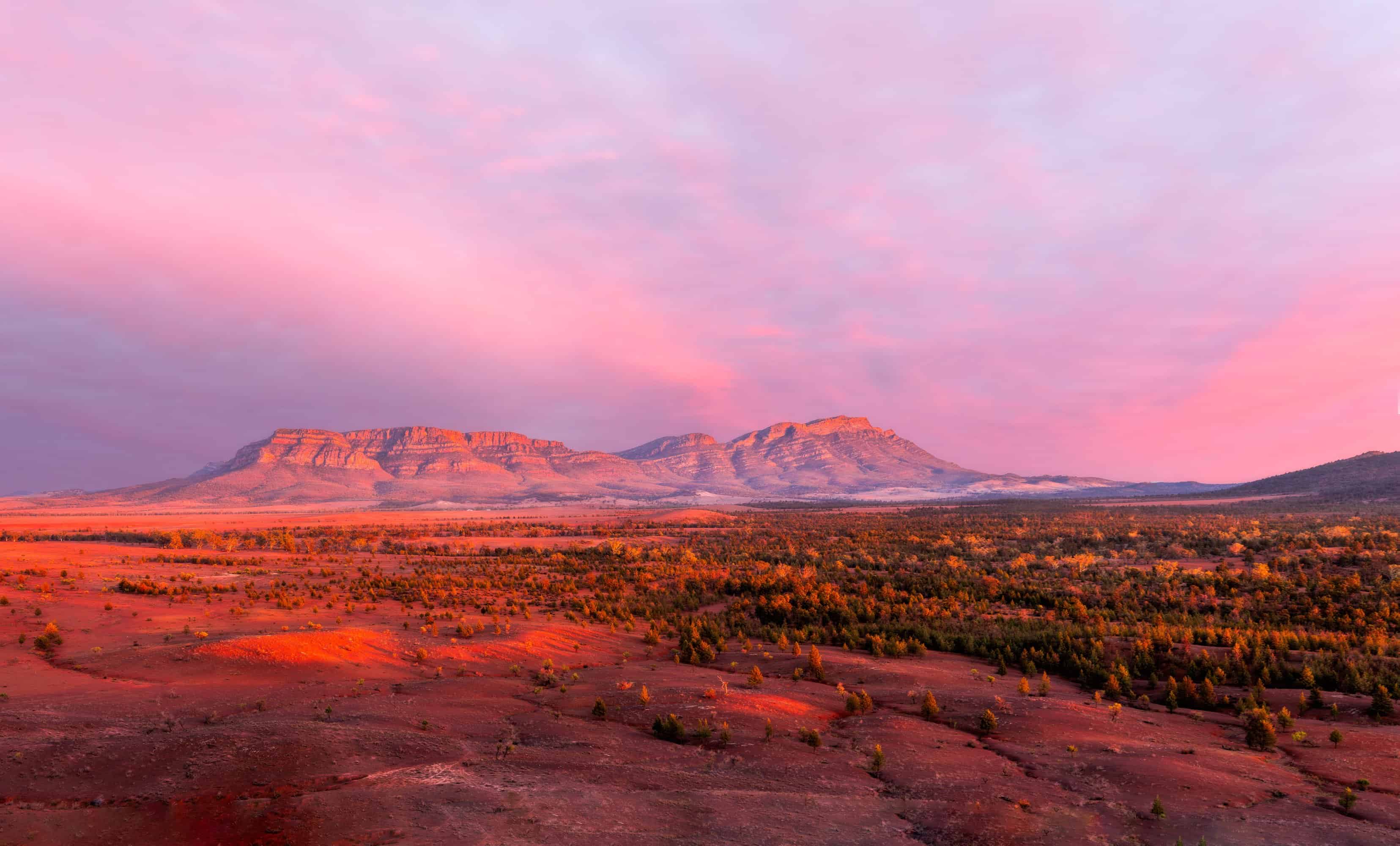 Wilpena Pound (Image Credit: Michael Waterhouse Photography Via South Australian Tourism Commission)