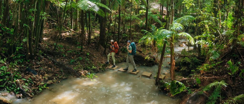 Hikers cross a creek during the Gidjuum Gulganyi Walk in Byron Bay. (Image Credit: NSW National Parks and Wildlife)