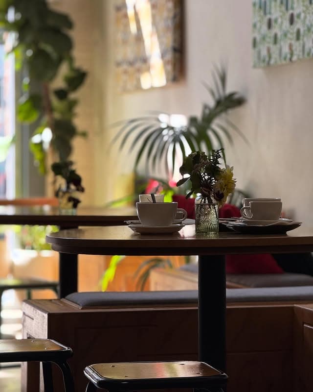 susies kingsway cafe launceston