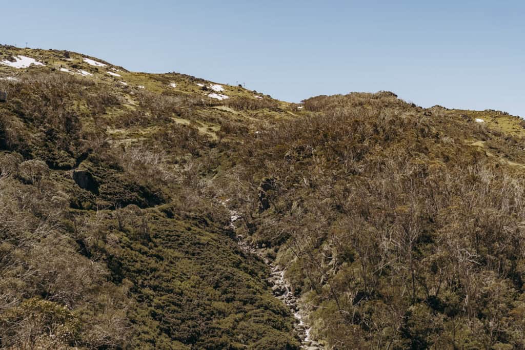 Thredbo Suburb Profile