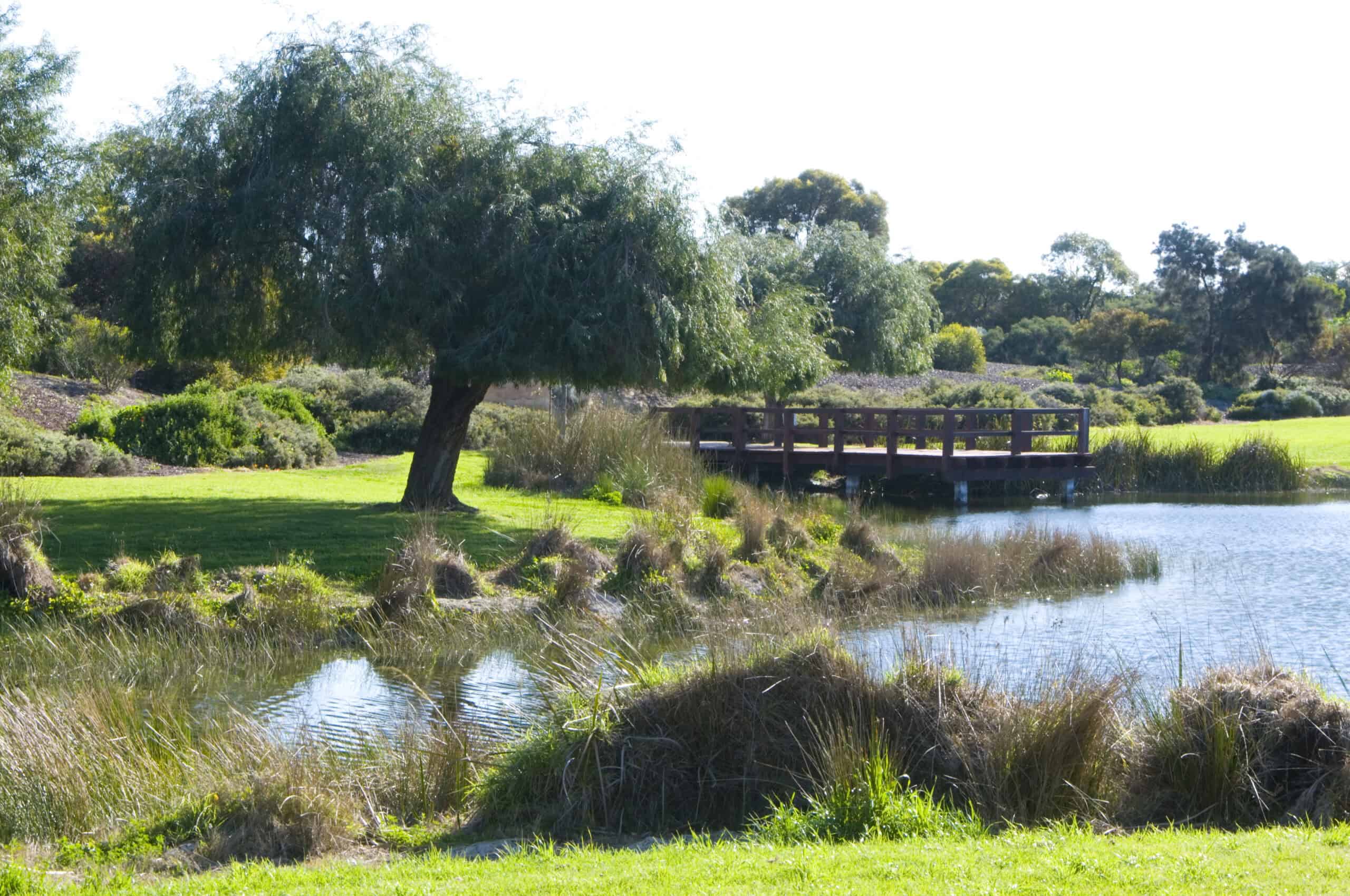 Booyeembara Park (Image Credit: City of Fremantle)