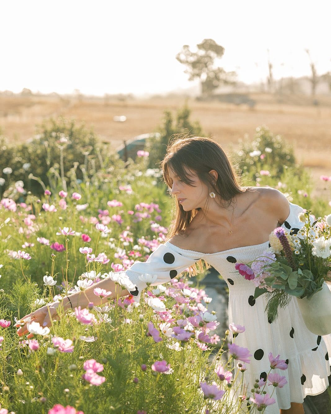 charleston flower farm adelaide hills