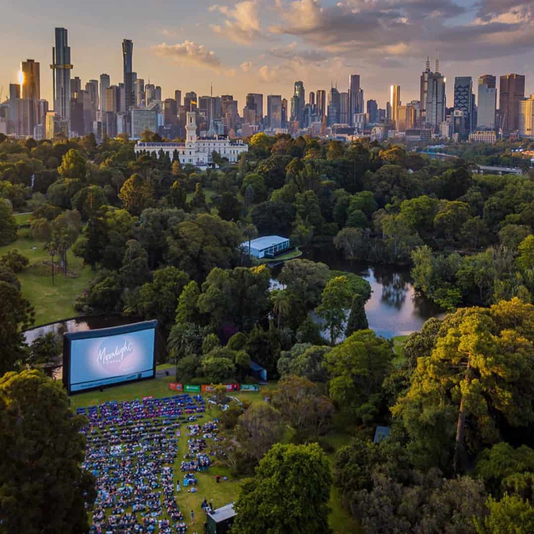 Moonlight Cinema 