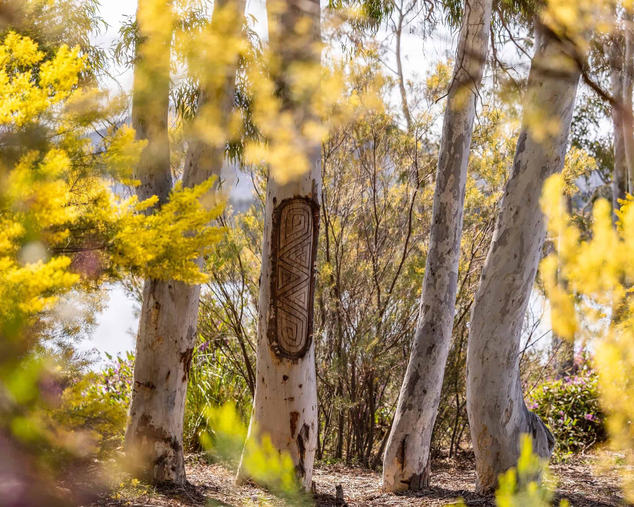 The National Gallery of Australia Sculpture Garden 