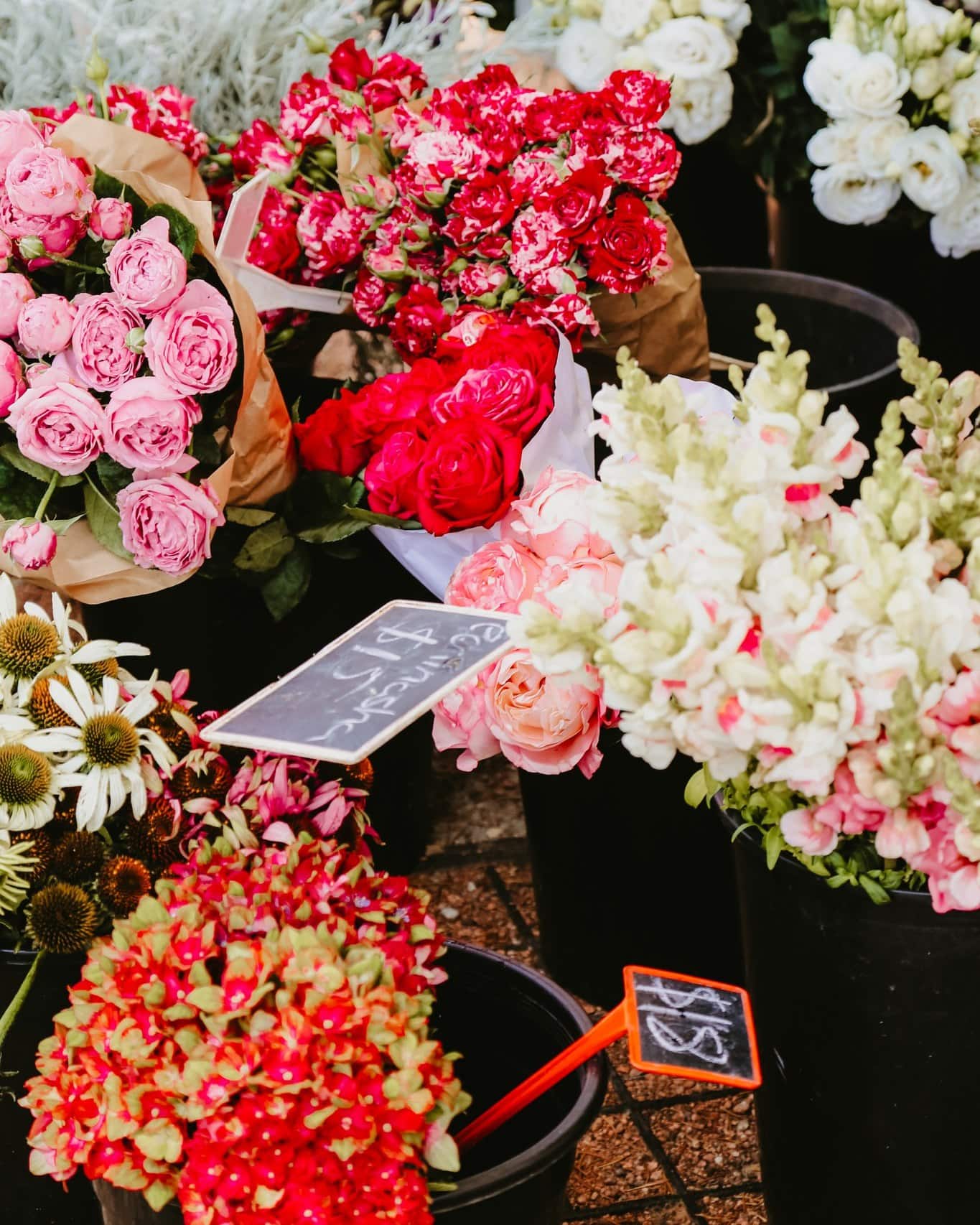 Flowers Haigh's Park Village Markets Shots By Al