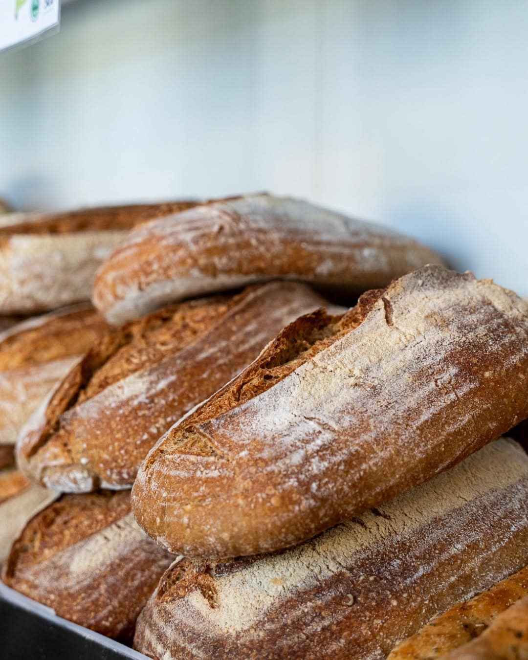 Freshly baked baguettes