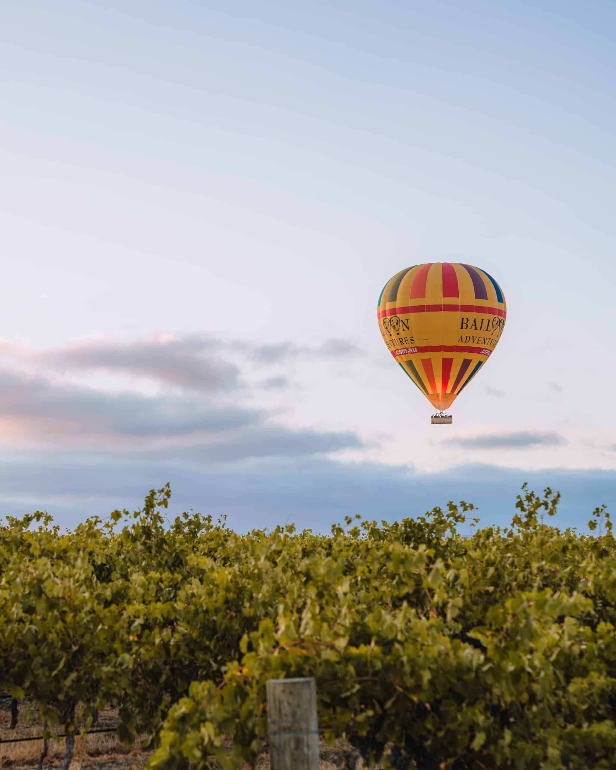 hot air ballooning with barossa ballooning barossa valley