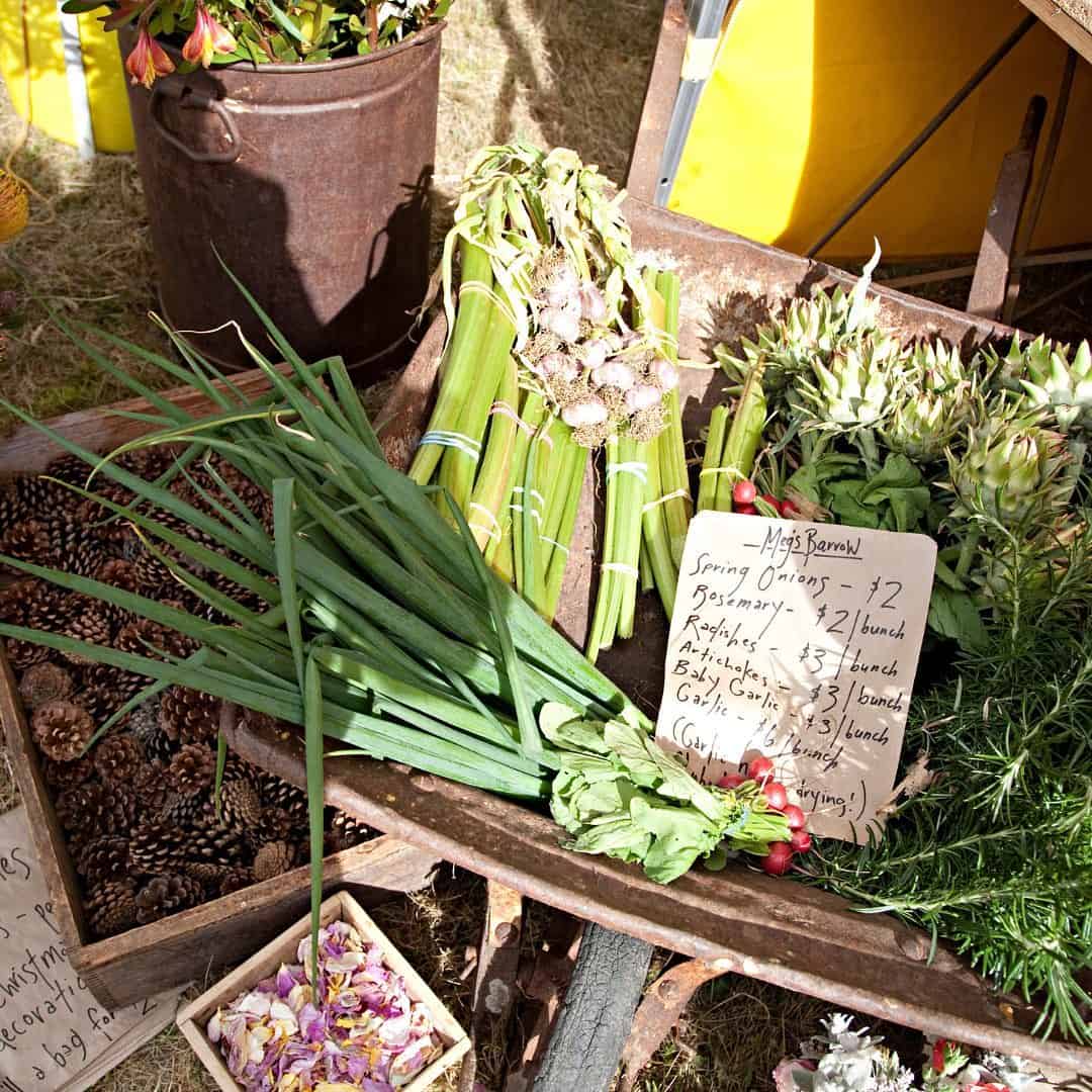 Bream Creek Farmers Market 