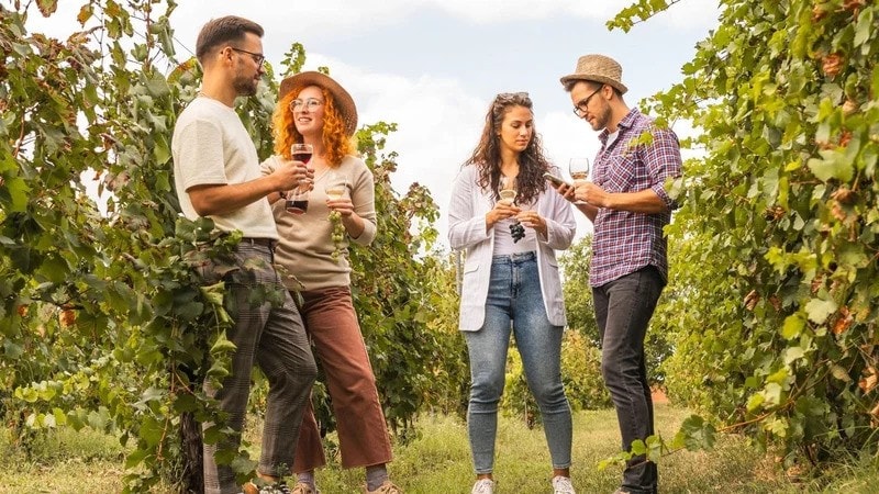 A group of friends taste wine in a vineyard at Canberra Stomp Festival.