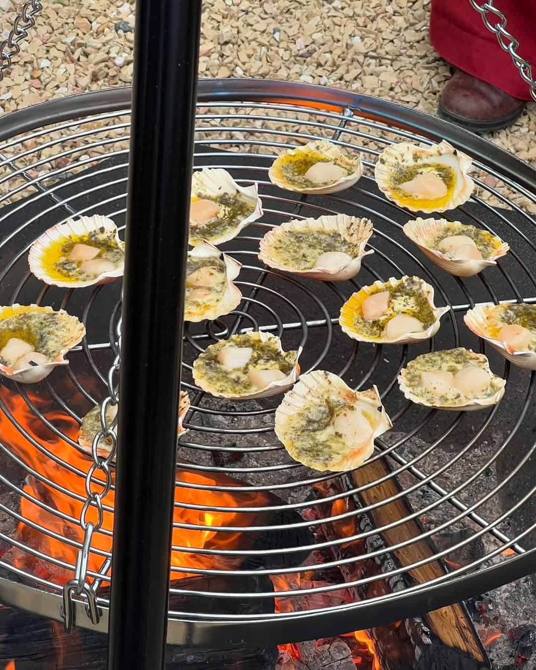 Tasmanian scallops over open flame (Image Credit: @analiesegregory @ghgraham)