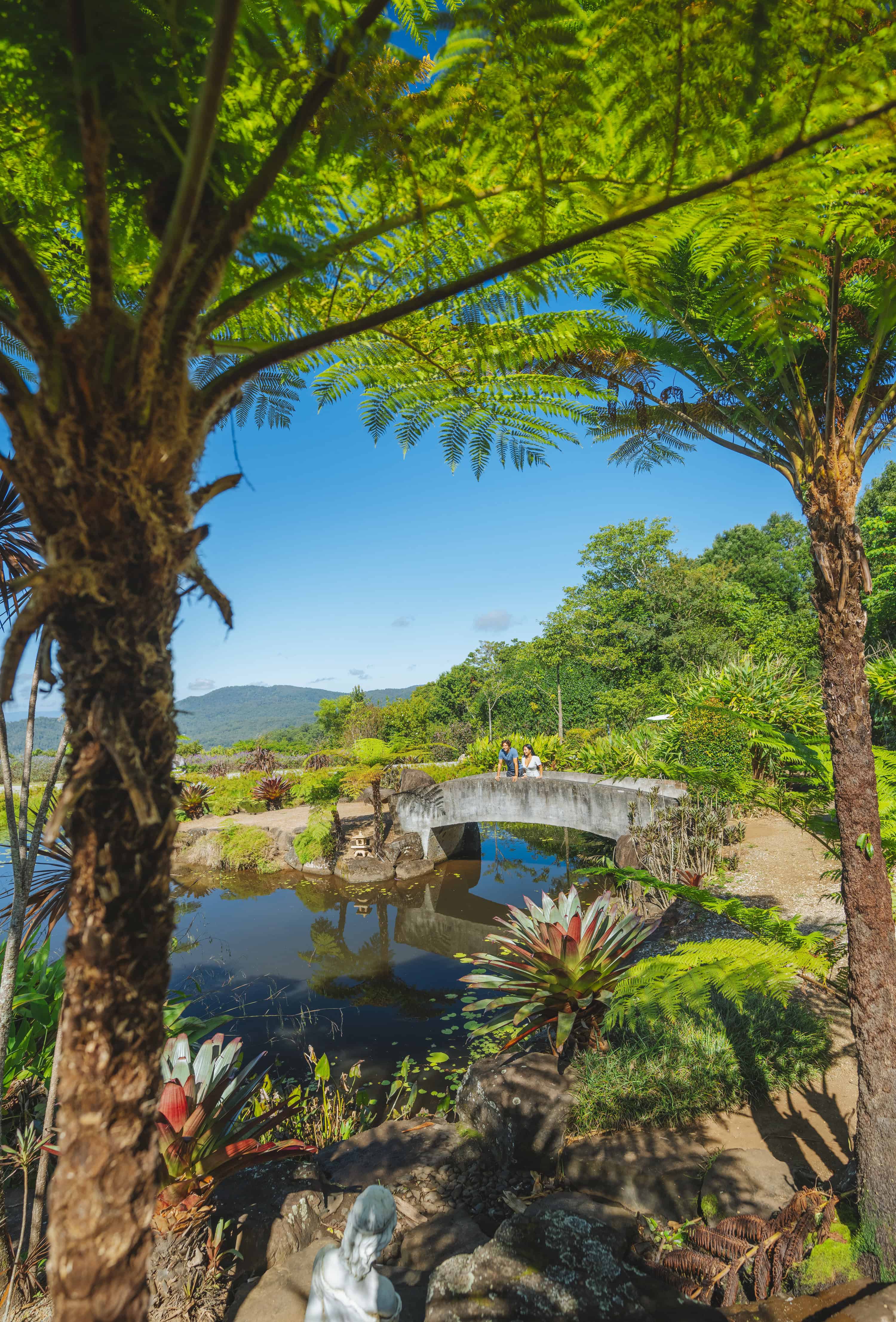 Maleny Botanic Gardens