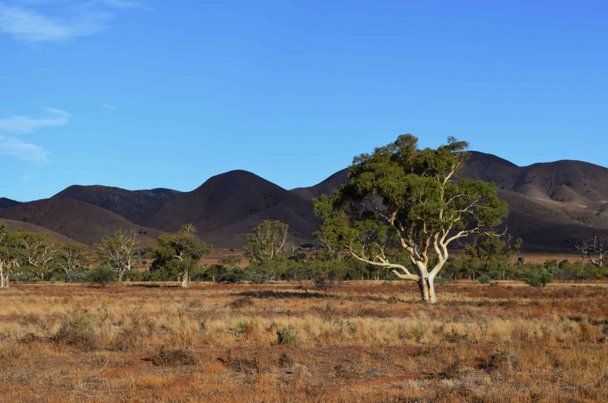 Mount Remarkable National Park (Image credit: Asaf Miller via South Australian Tourism Commission)