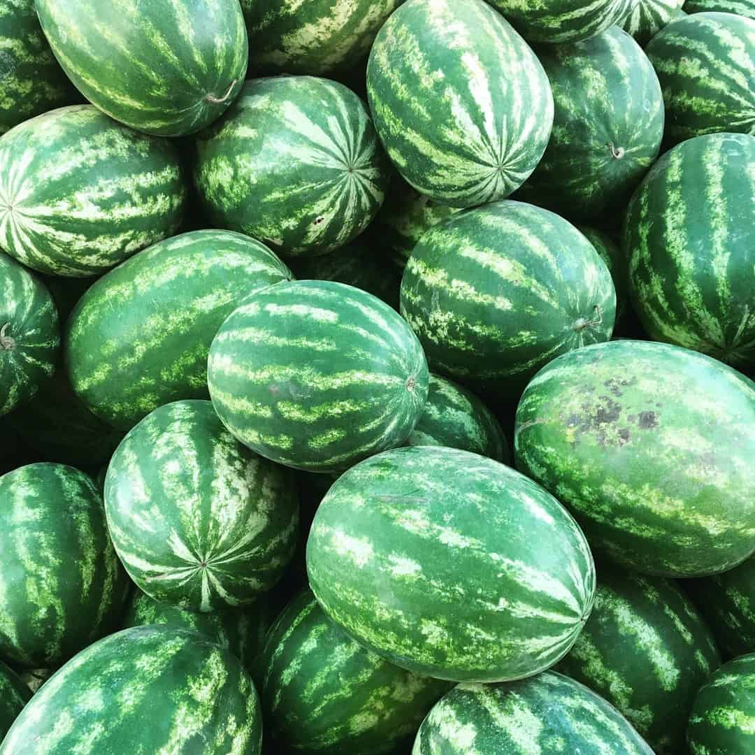 Watermelon Season (Image Credit: Unsplash)