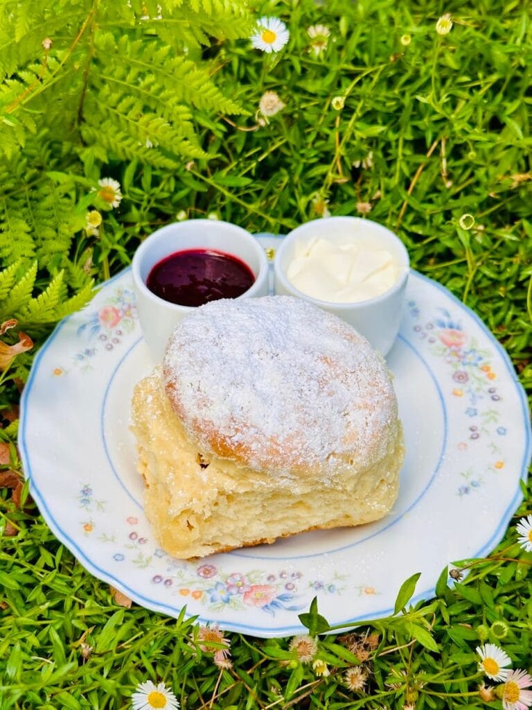 Freshly baked scone with jam and cream on floral plate in garden at Camellia Gardens Teahouse Caringbah South Sydney