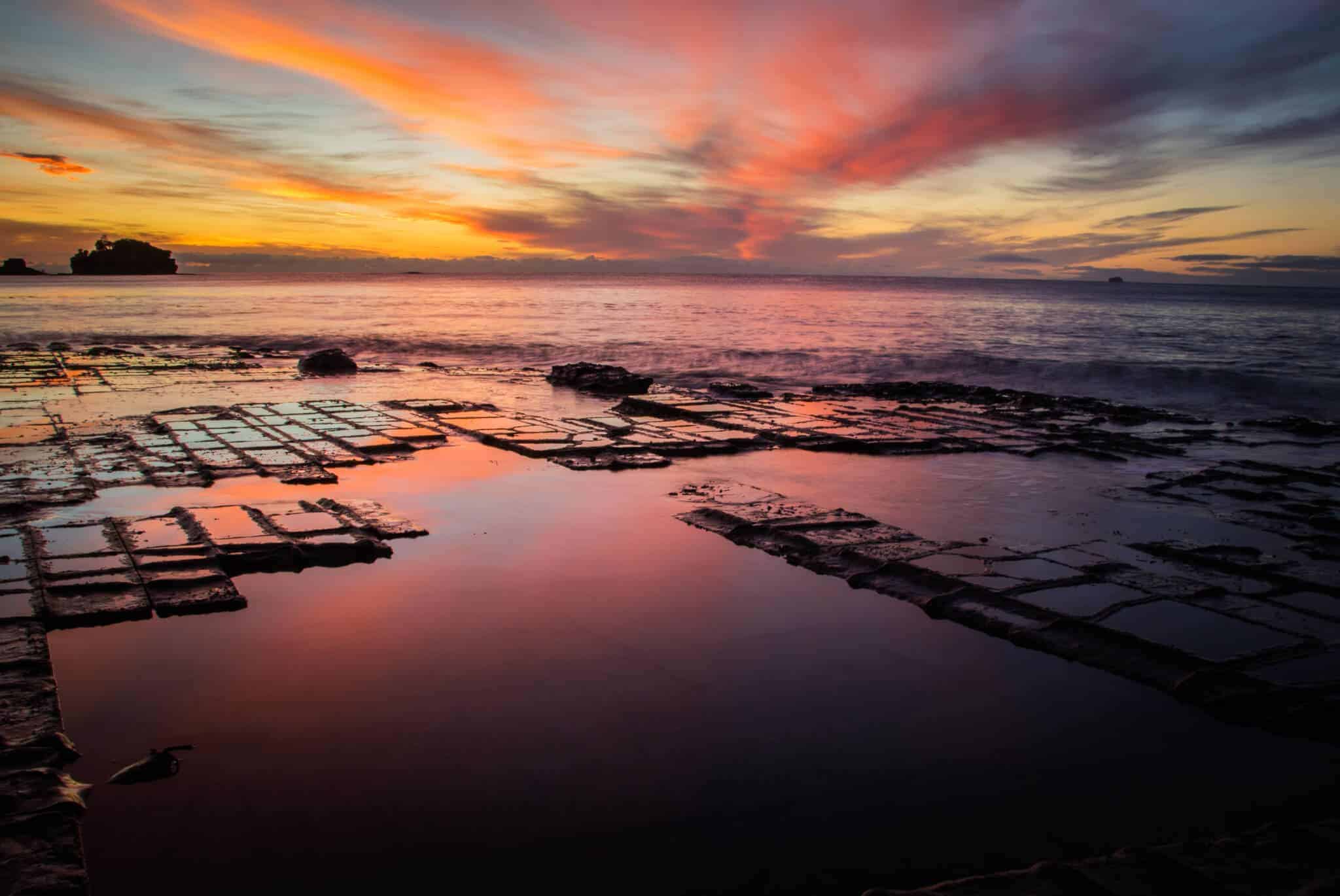 Tessellated Pavement (Image Credit: Tasmania)