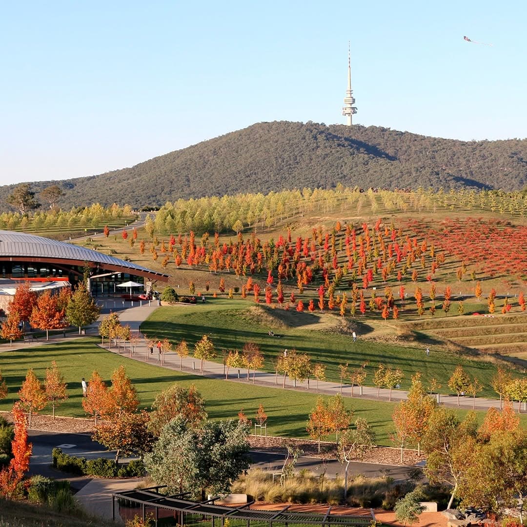 Where to See the Most Gorgeous Autumn Leaves in Australia | Sitchu