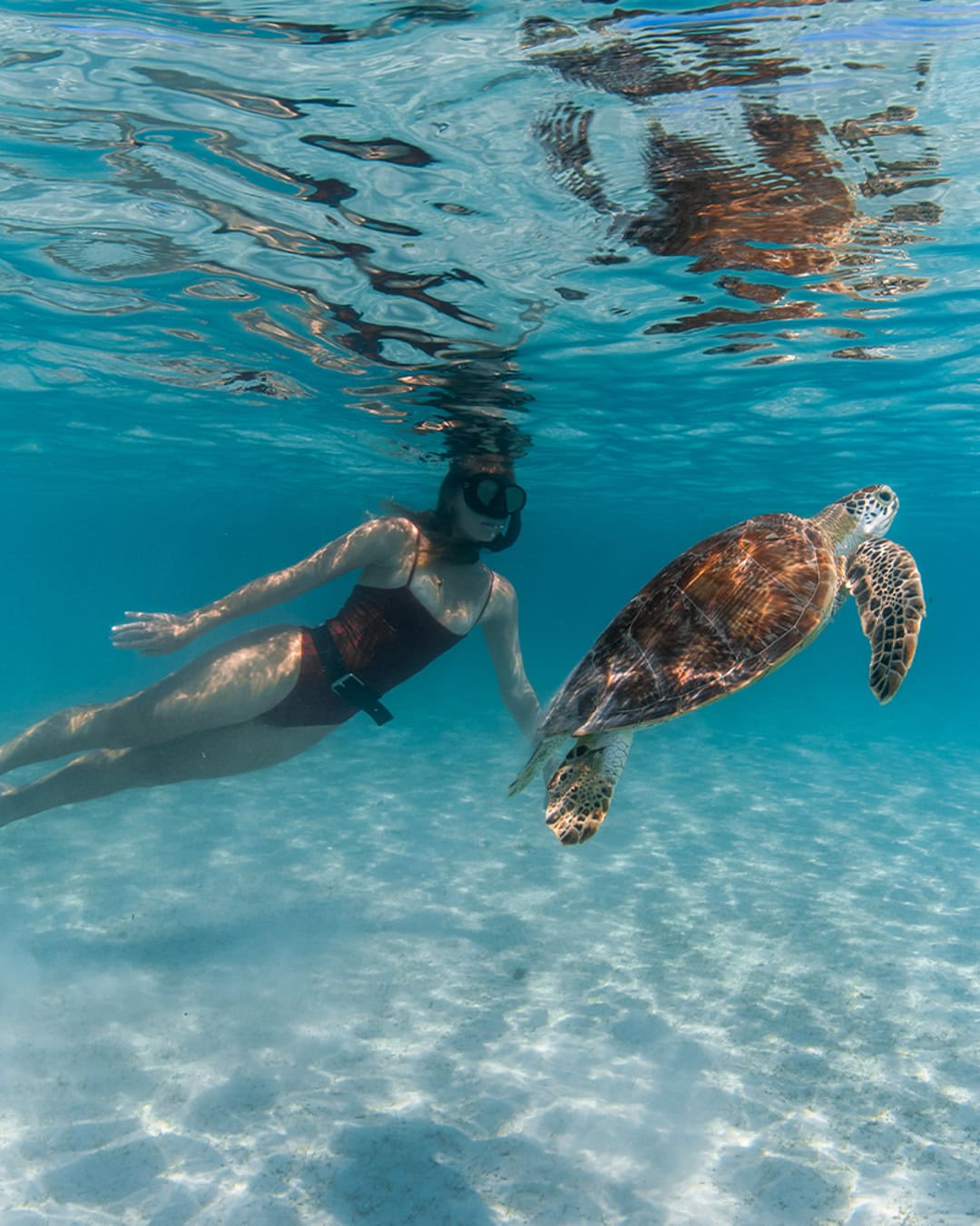 LIZARD ISLAND QLD (23)