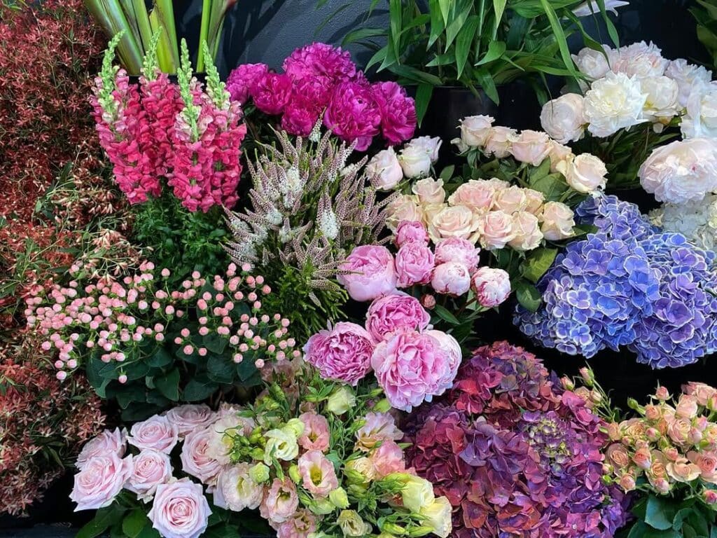An array of bright flowers
