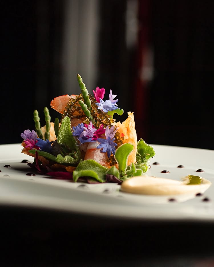 main dish r by raita noda wunderlich lane