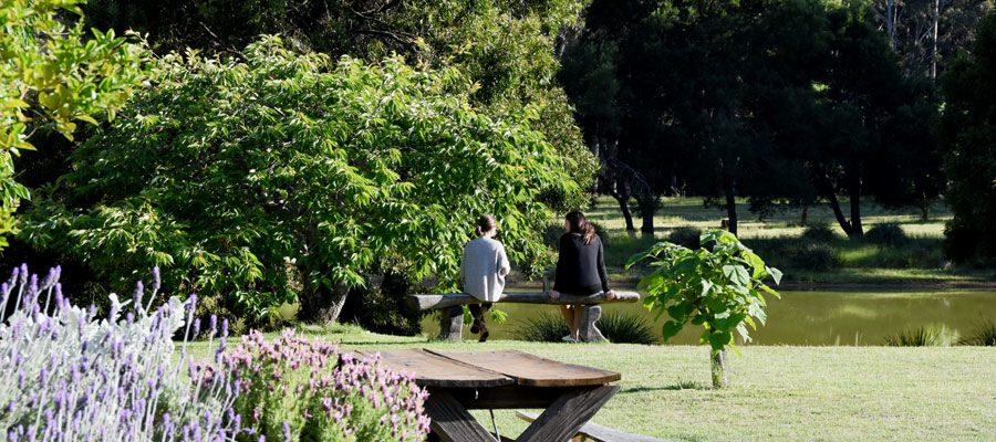 rocklyn yoga ashram (3)