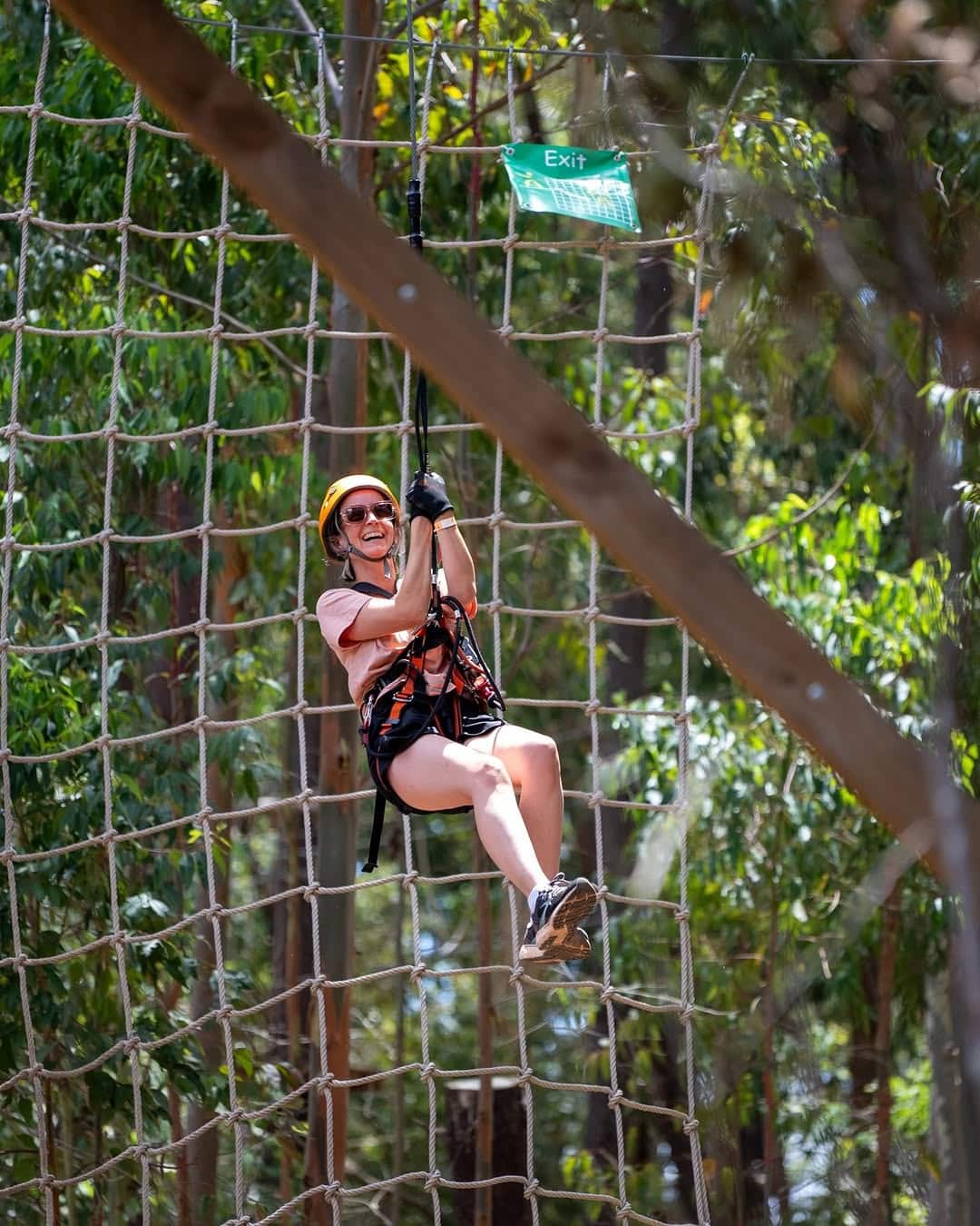 treeclimb adelaide