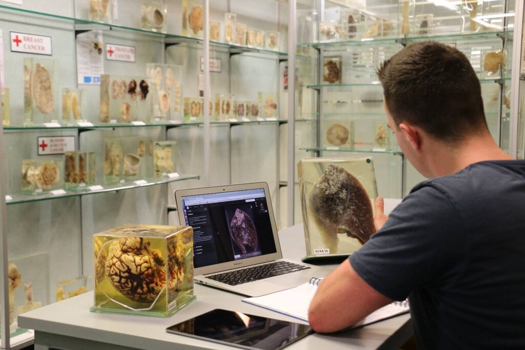 The Museum of Human Disease at UNSW Sydney
