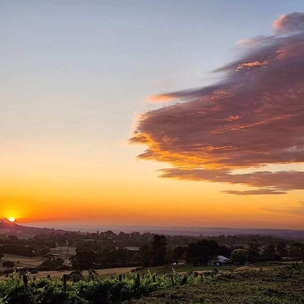 Sunset over vineyard at Massaros Estate
