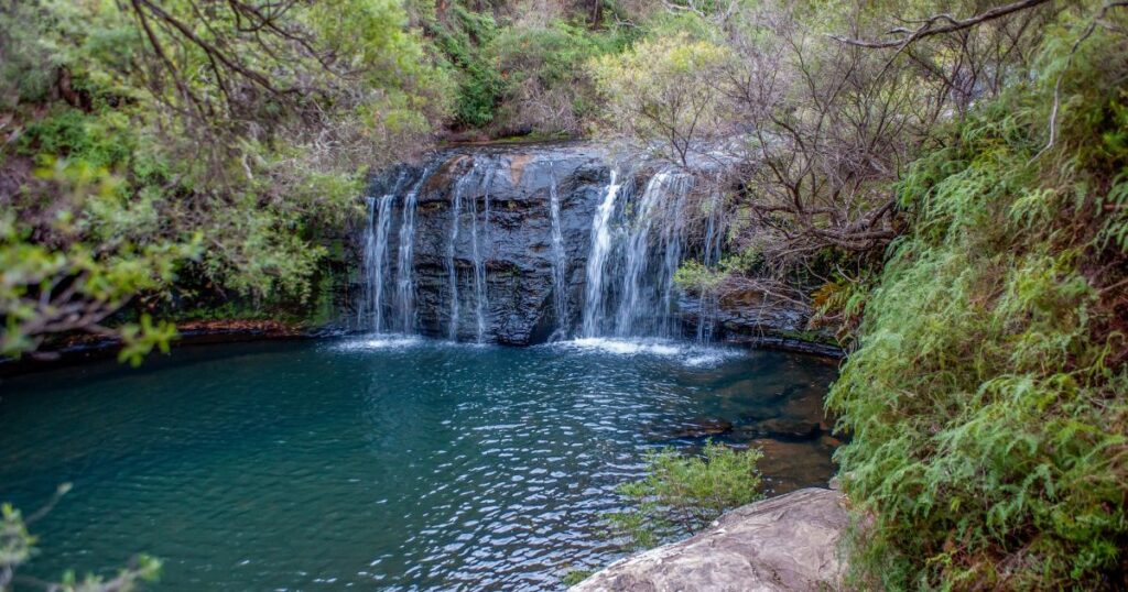 Minnamurra Rainforest waterfall