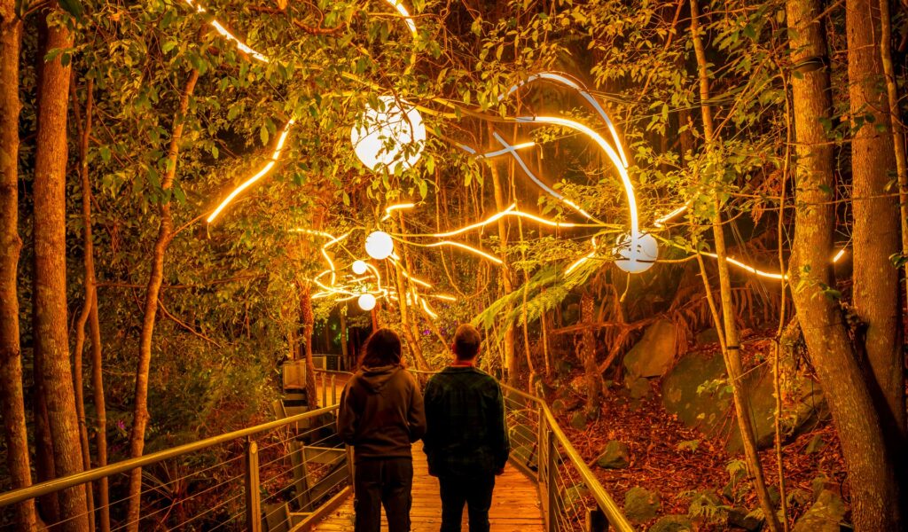 Nocturnal nighttime event at Scenic World in the Blue Mountains.