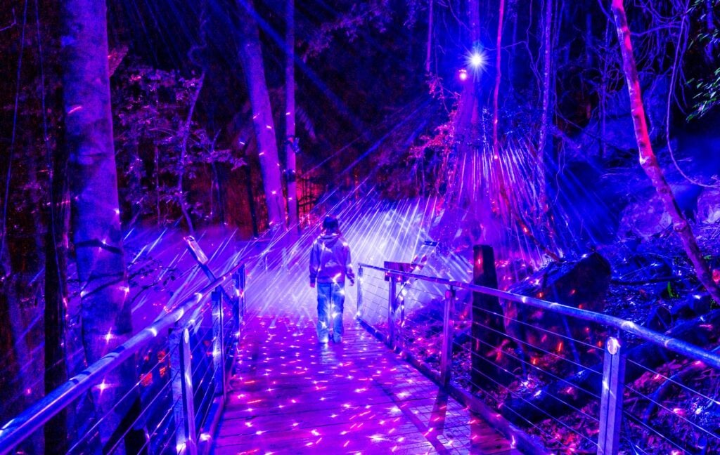 Nocturnal nighttime event at Scenic World in the Blue Mountains.