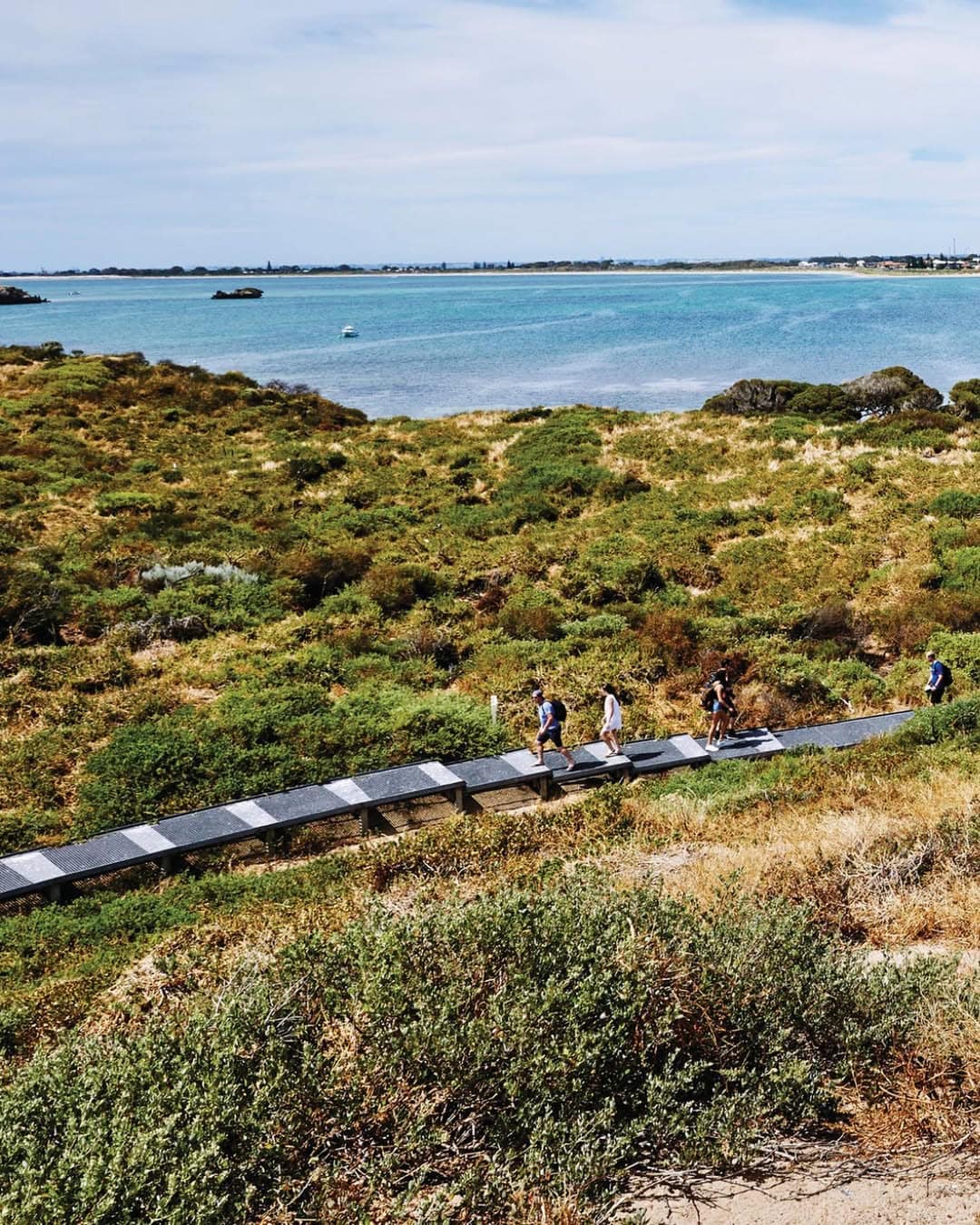 Your front-row seat to wild luxury for wildlife’s A-listers Just 40 minutes south of Perth (Boorloo), Penguin Island awaits - a quick five-minute ferry from the mainland, within the heart of Shoalw (1)