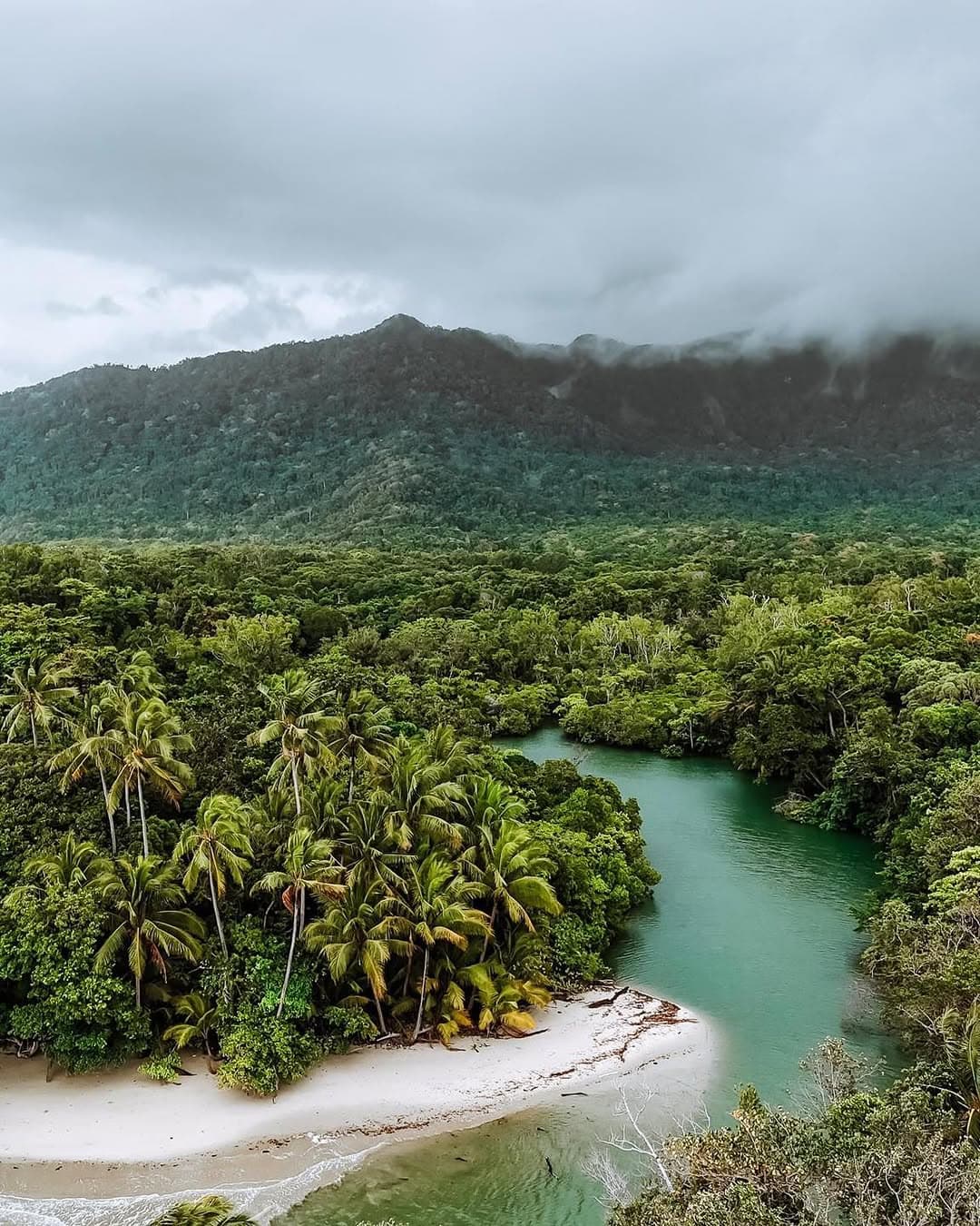 The 12 Best Rainforests in Australia to Add to Your Bucket List