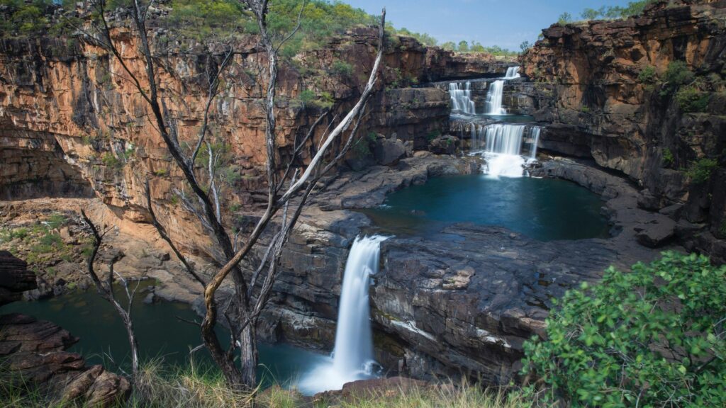 Mitchell Plateau Rainforest