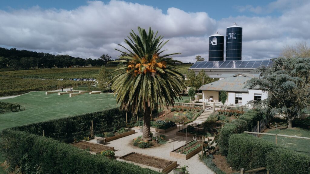 Aerial shot of Bird in Hand in SA.