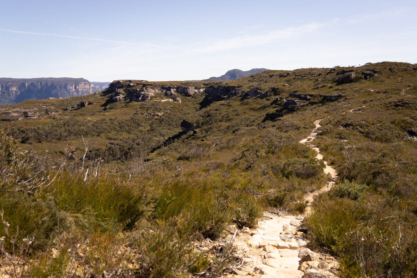 Butterbox-Canyon-Blue-Mountains-Sitchu-5894