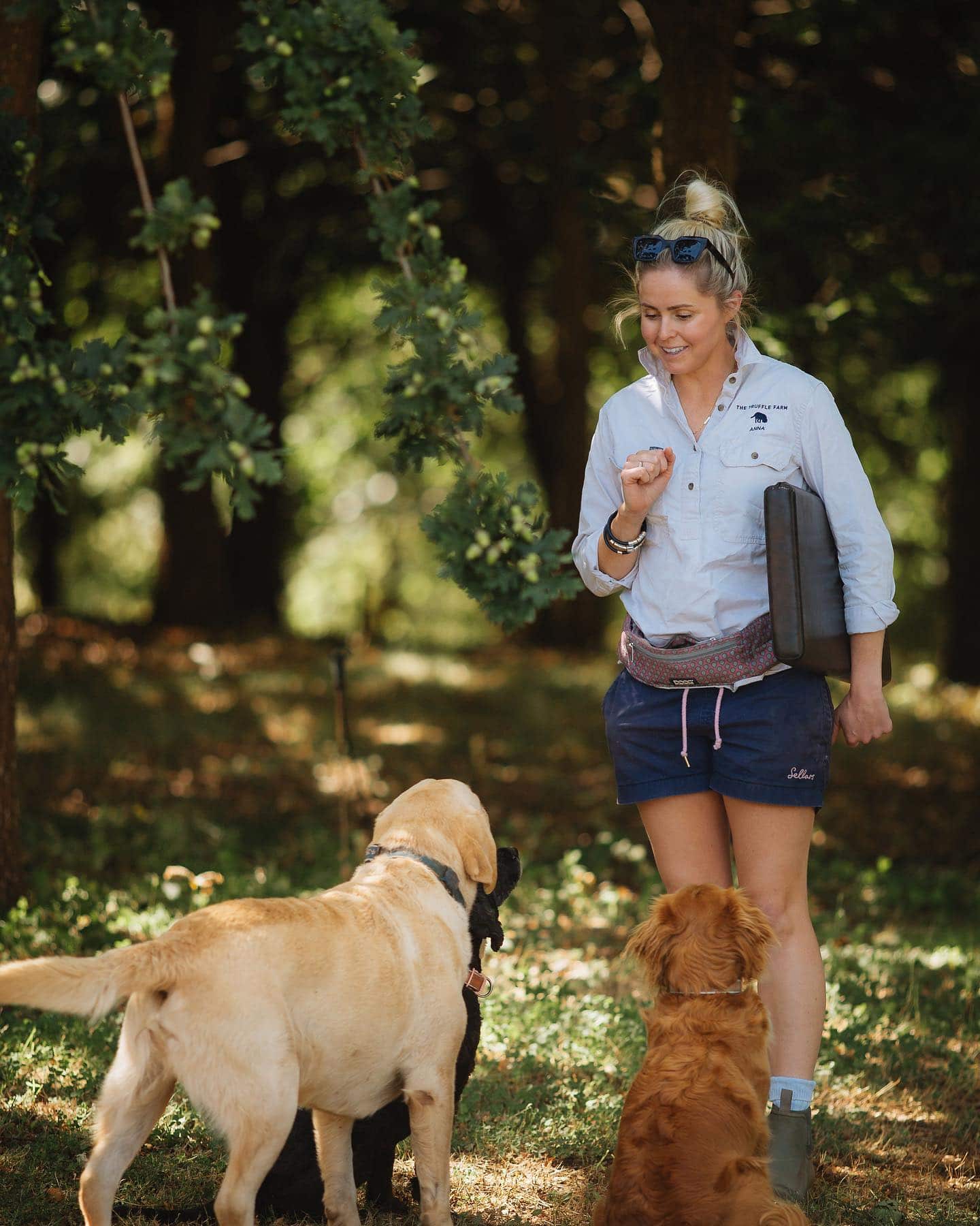 Dogs on The Truffle Farm Tasmania