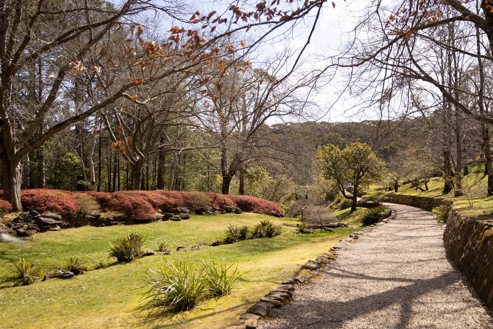 Everglades-House-and-Garden-Leura-Sitchu-6132