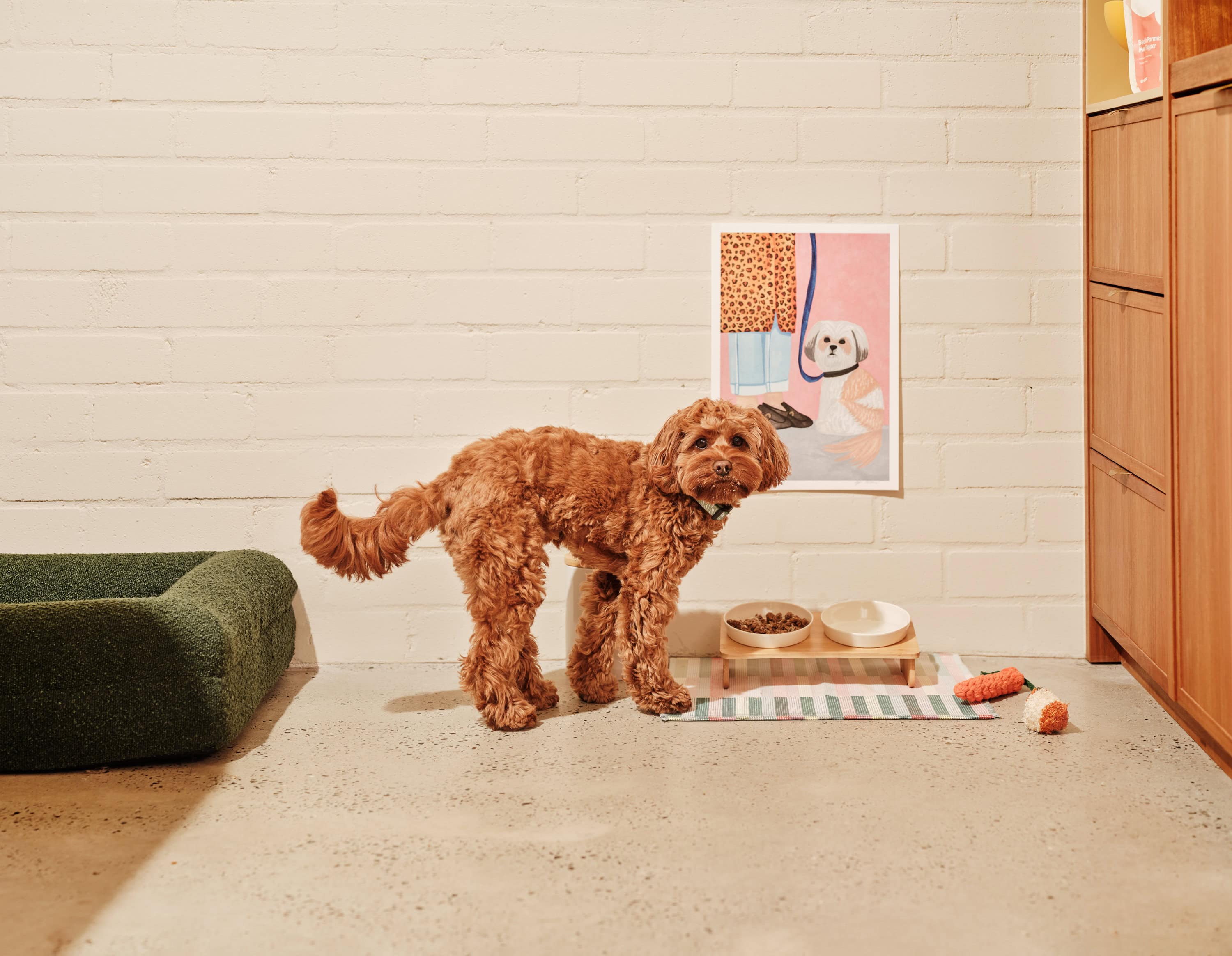 lyka pet food
