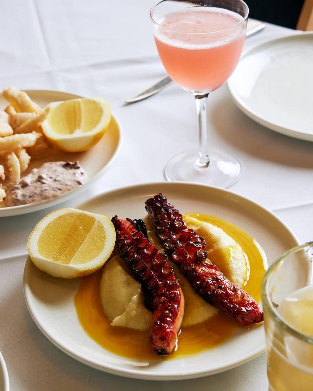 Octopus from Salona