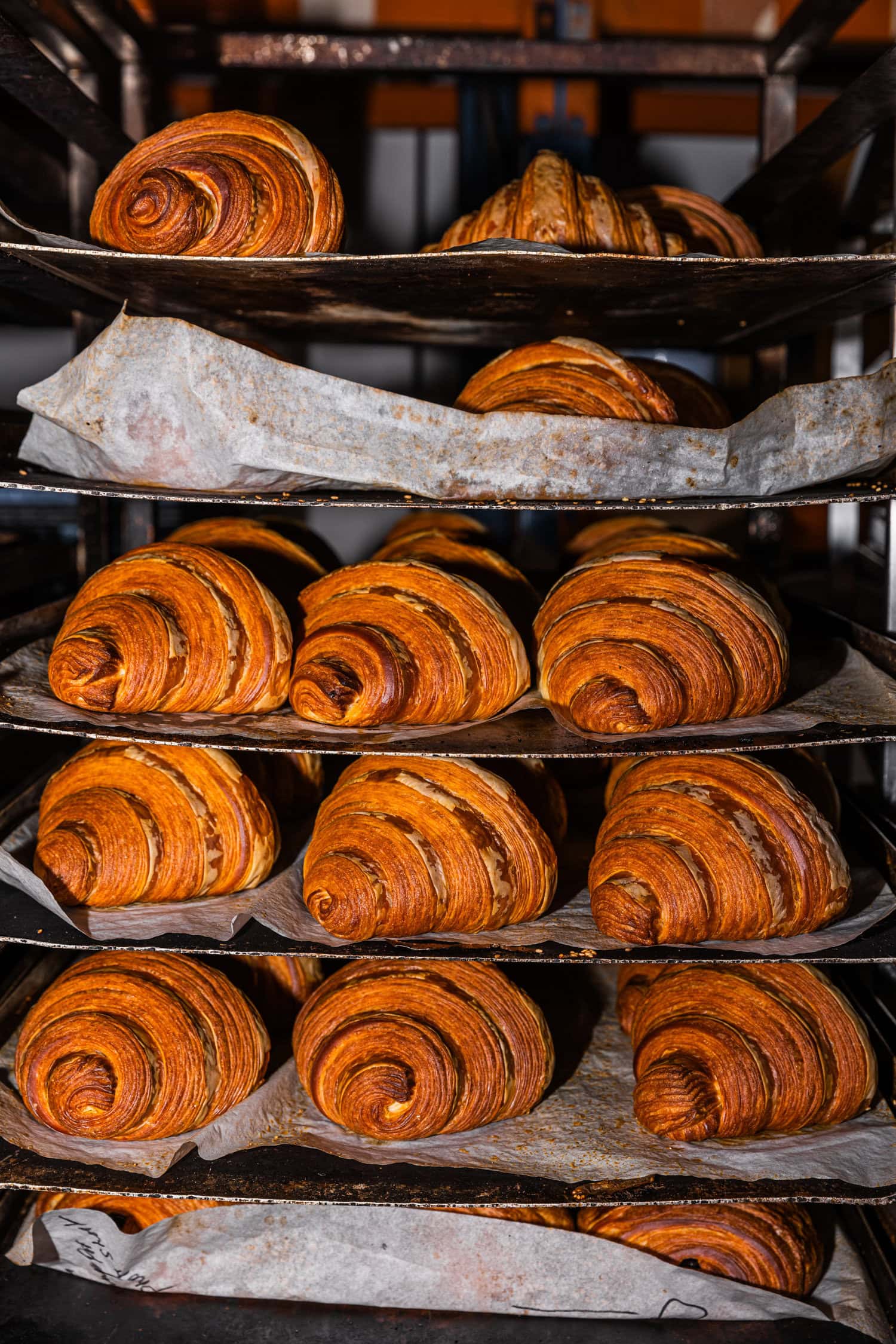 Brooklyn Boy Bagels Brooklyn Boy Bagels