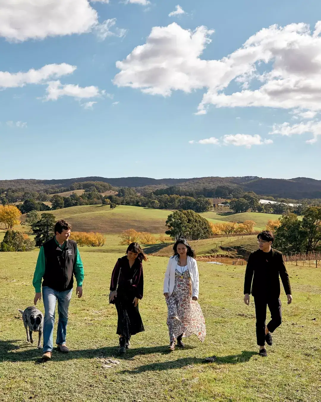what's on this weekend in Adelaide cobbs hill estate adelaide hills chardonnay May
