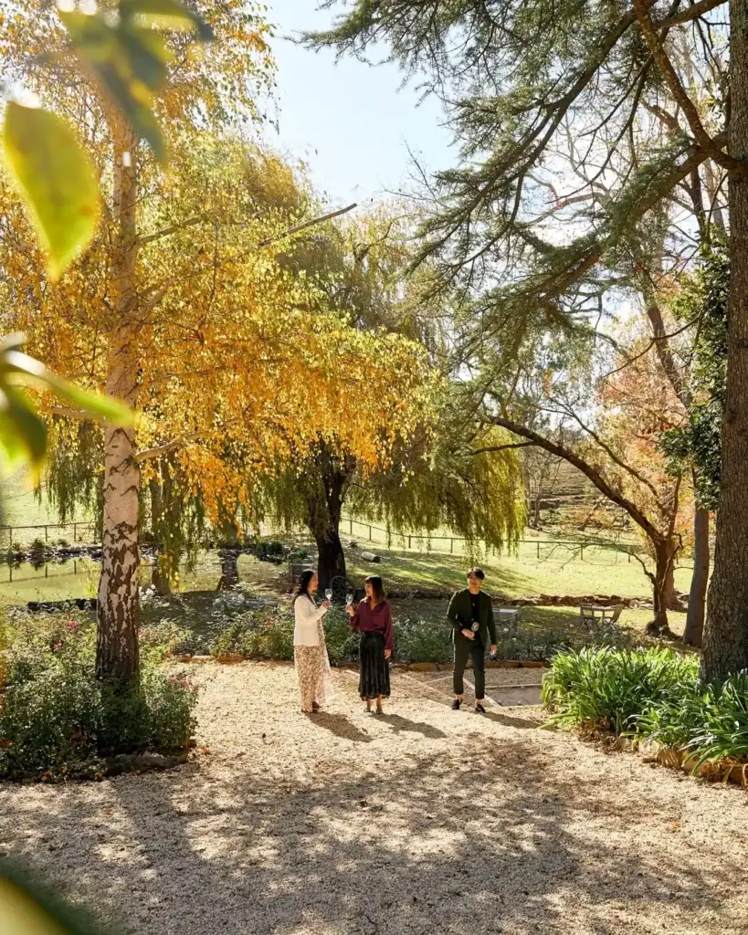 what's on this weekend in Adelaide Cobbs Hills Estate