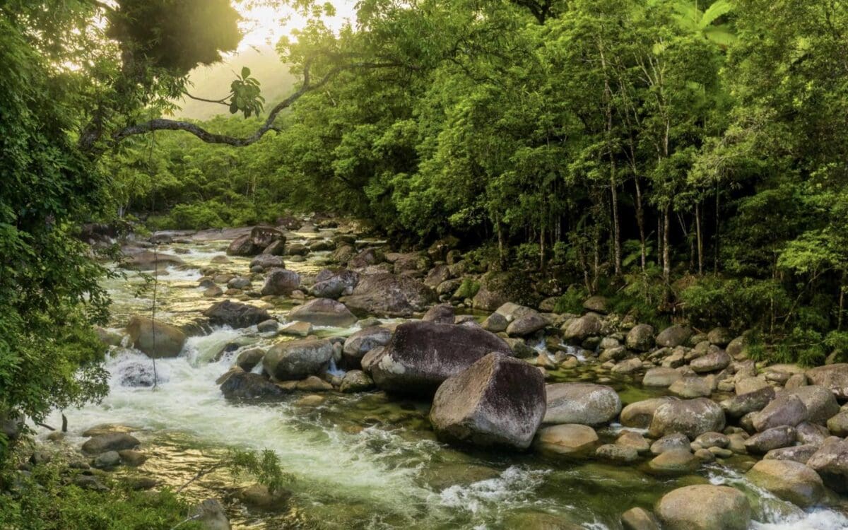 Australia’s Greenest Escapes Feel Almost Prehistor