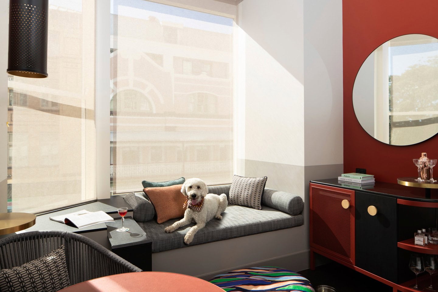 A white dog sitting on the window seat in one of the rooms at QT Newcastle.