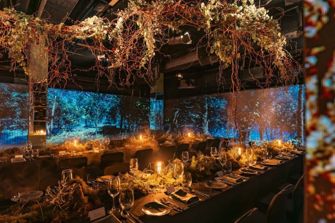 Winter Forest event as part of Illuminate, Adelaide.