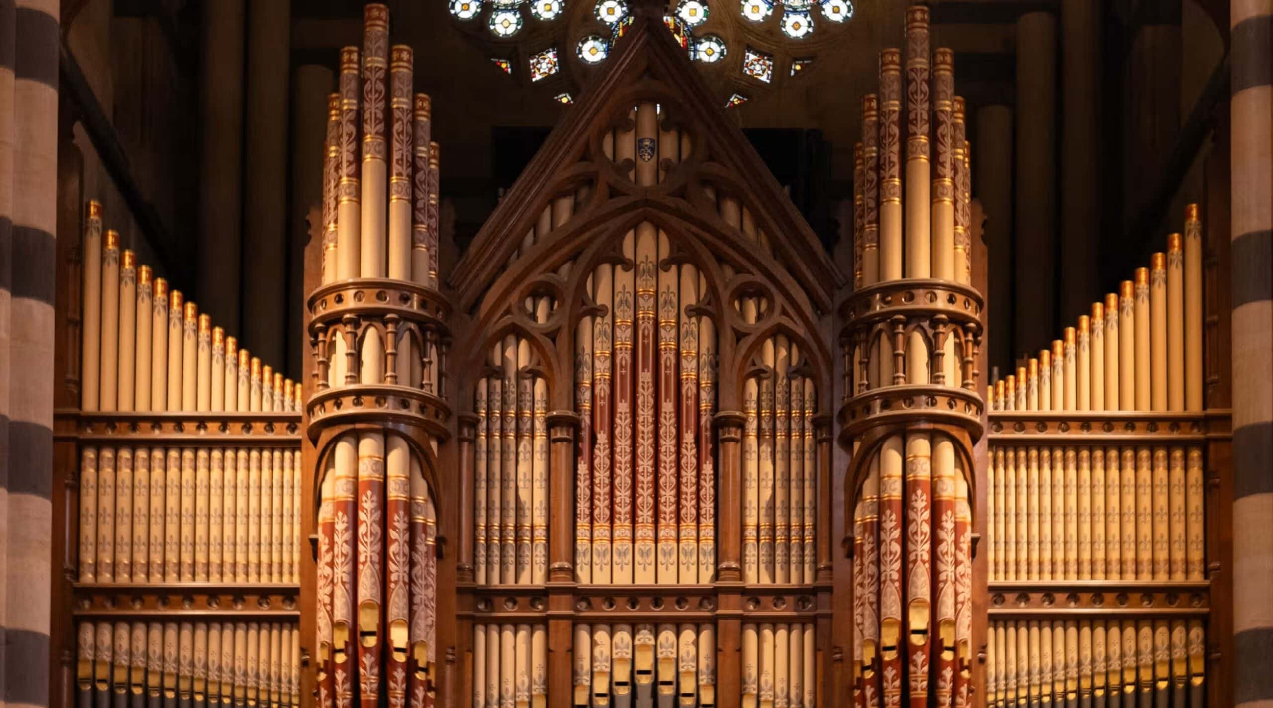 Large pipe organ inside St Paul’s Cathedral for RISING’s Voiceless Mass.