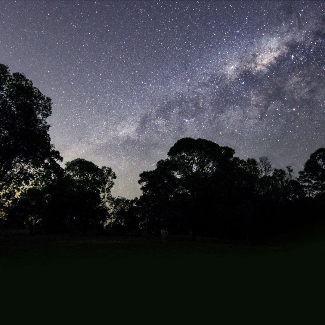 kunyani after dark tasmania credit @beakerstreetsci